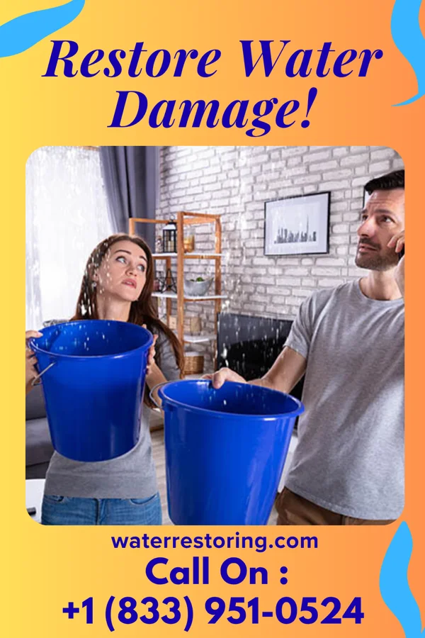 water restoration Zenith Water Damage Partners Kilbourne